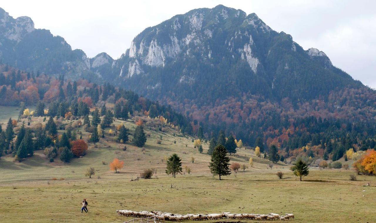 Taverna Pietrei Craiului Zărneşti Exterior foto